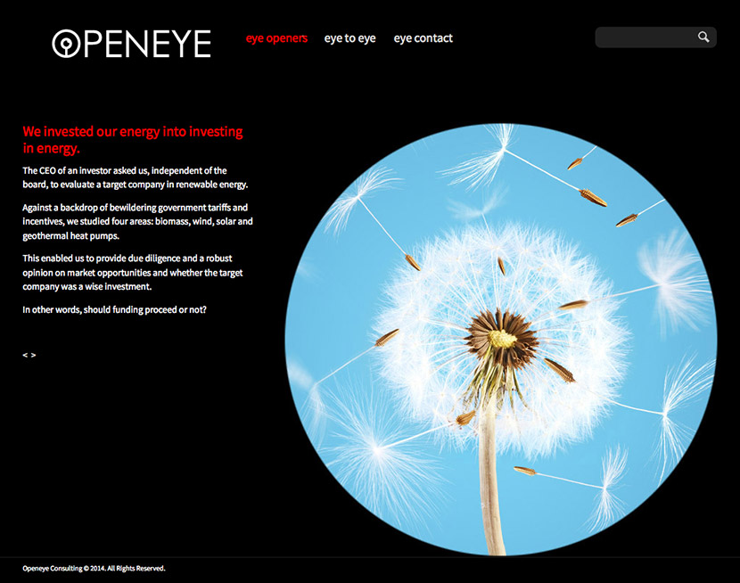 openeye-green-energy investment review